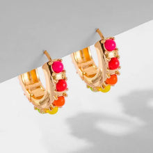 Zeamsil | Ally Colors Earrings